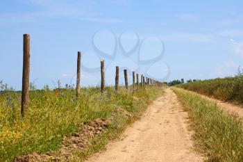 Row of wooden columns on roadside of the rural dirt road in a lovely summertime