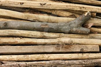 Pile of thin wooden sticks stacked in parallel