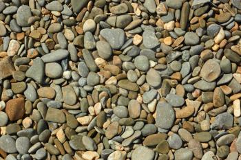 Fragment of pebble beach with flat colored pebbles close-up in bright sunlight