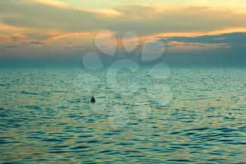 Yellow-orange clouds reflected in sea surface after sunset. Float the bounding coastal sways on the waves