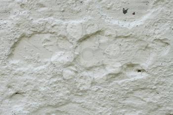 Fragment of old concrete wall whitewashed with lime
