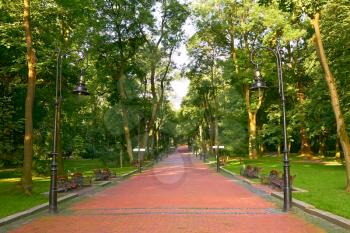 Paved park alley early in the morning near the National University in Lviv, Ukraine