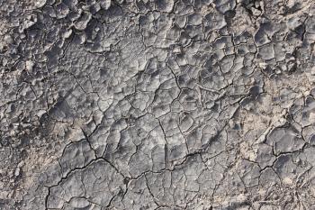 Dried cracked soil in hot sunny weather as a texture