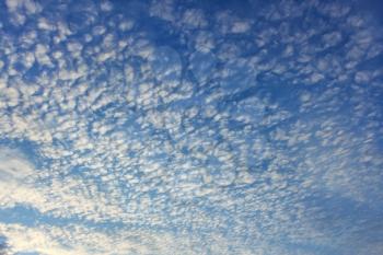 Altocumulus clouds on whole sky as a texture