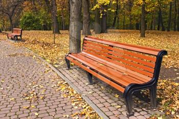 New light brawn bench in park near the alley in falling season in calm weather