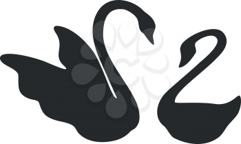 swan couple in black 01