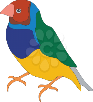 Bird parrot in color 01