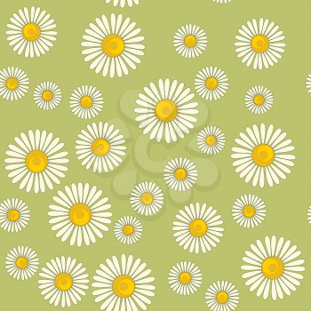 Vector seamless pattern with chamomile on color background 598