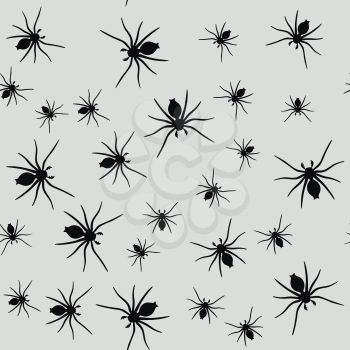 Spider insects seamless texture 667