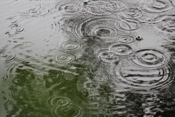 Rain drops rippling background 7737