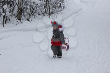 Child carries a sled in the winter forest 30031