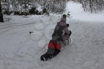 Children sledding in the winter forest 30077