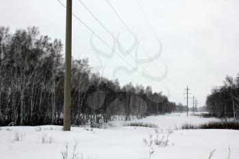 Power lines in winter woods 30099