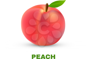 Peach isolated on white background. Vector illustration