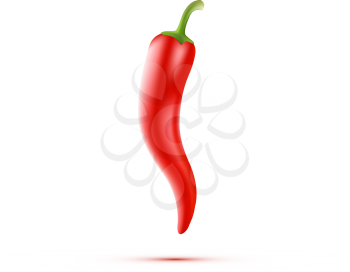 Chili Peppers isolated on white Background. Vector illustration