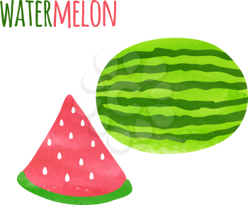Abstract Colorful Watercolor Watermelon isolated. Vector illustration