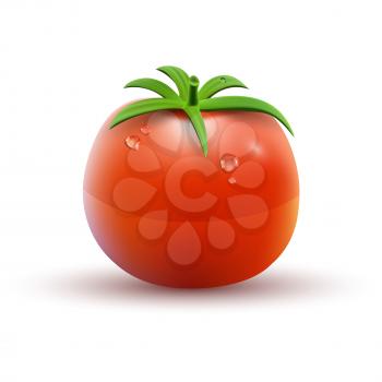Red Tomato isolated on white Background. Vector illustration