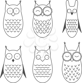 Cartoon owls and owlets birds isolated on white background. All birds are isolated on white background