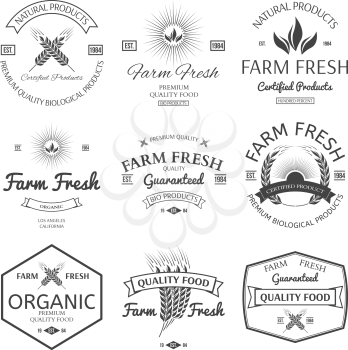 farm fesh vector badges for any use illustration