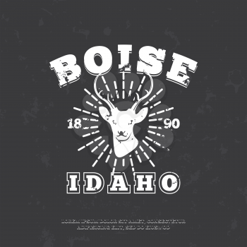 Boise, Idaho.  t-shirt graphic print. Vector illustration