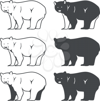 Set of Six Bear Silhouette. Vector illustration