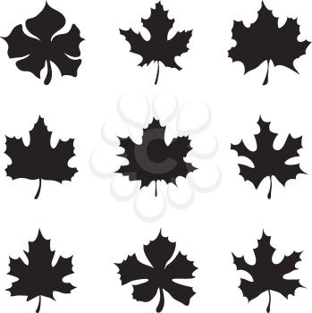 Set of nine Maple-leaf silhouette vector illustration