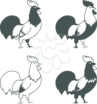 Chicken design elements isolated on white background vector illustration