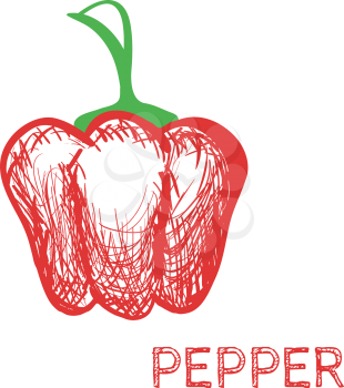Hand Drawn red Pepper Sketch Vector illustration