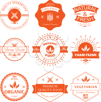 Set of vintage style elements for labels and badges for organic food and drink