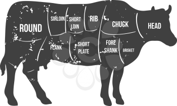 Vintage butcher cuts of beef diagram vector illustration