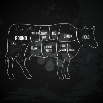 Vintage butcher cuts of beef menu chalk vector illustration