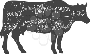 American cuts of beef, vintage typographic hand-drawn butcher cuts scheme diagram