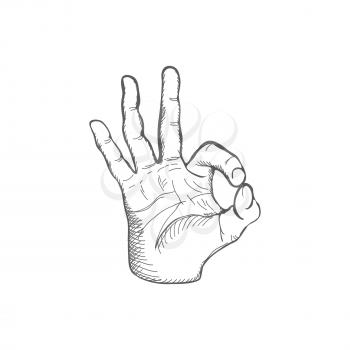Hand Drawn Sketch Ok Gesture Vector Illustration
