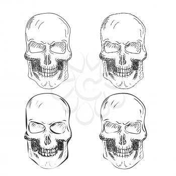 Set of four Hand Drawn Skulls Vector illustration