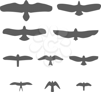 Set of Silhouettes of birds of prey Vector Illustration