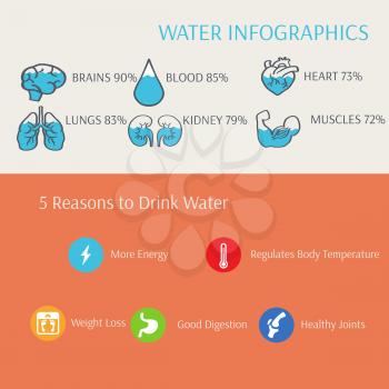 Water in Human Body Infographics Vector Illustration