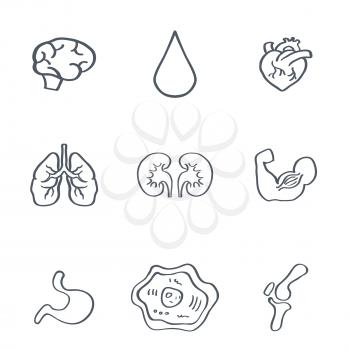 Set of Human Organs Medical Icons Vector illustration