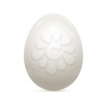 Egg Isolated on White Vector illustration EPS10