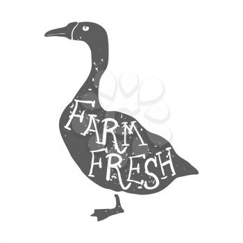 Hand Drawn Farm Animal Goose. Farm Fresh Lettering. Vector Illustration