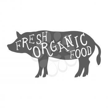 Hand Drawn Farm Animal Pig. Fresh Organic Food Lettering. Vector illustration