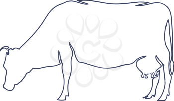 Hand Drawn Cow Isolated on White background. Vector Illustration