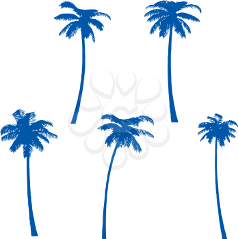 Palm Trees isolated on White Background. Vector illustration