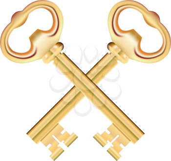 Crossed Golden Keys isolated on white Background. Vector illustration