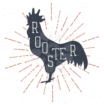 Hand Drawn Rooster Illustration with lettering and vintage Sunburst. Vector illustration
