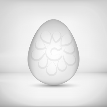 White grayscale chicken egg with white background