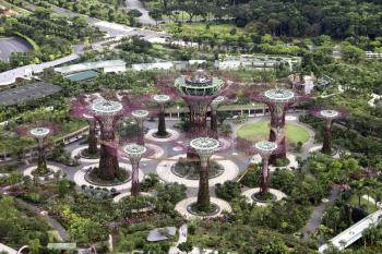 Singapore Supertrees at the Gardens By The Bay