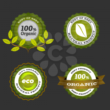Organic food icons with branches and leafs
