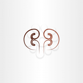 kidney line icon vector design