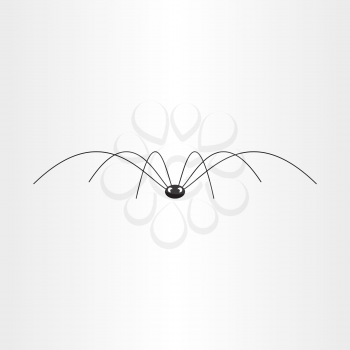 black spider insect vector 