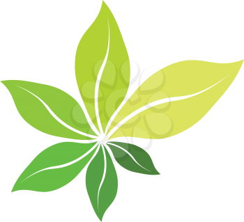 fresh bio green leaves organic herb symbol 